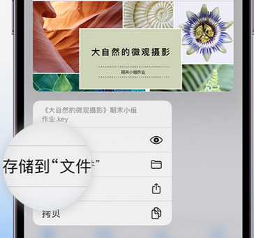 平远apple维修中心分享iPhone文件应用中存储和找到下载文件