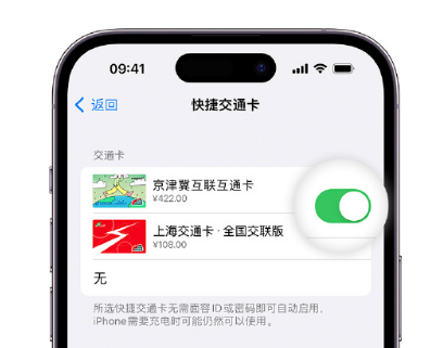 平远apple维修点分享iPhone上更换Apple Pay快捷交通卡手绘卡面 