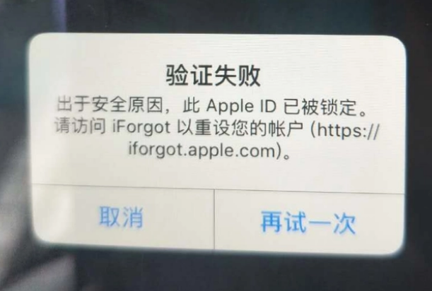 平远iPhone维修分享iPhone上正常登录或使用AppleID怎么办 