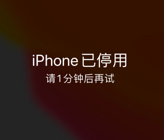 平远苹果手机维修分享:iPhone 显示“不可用”或“已停用”怎么办？还能保留数据吗？ 