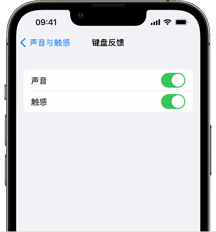 平远苹果14维修店分享如何在 iPhone 14 机型中使用触感键盘 