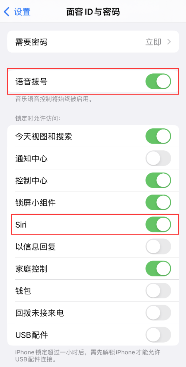 平远苹果维修网点分享不解锁 iPhone 的情况下通过 Siri 拨打电话的方法 