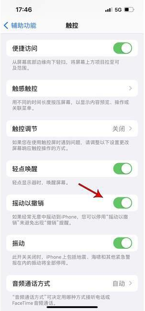 平远苹果手机维修分享iPhone手机如何设置摇一摇删除文字 