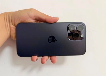 平远苹果维修点分享iPhone 14 Pro Max黑屏少见故障盘点 